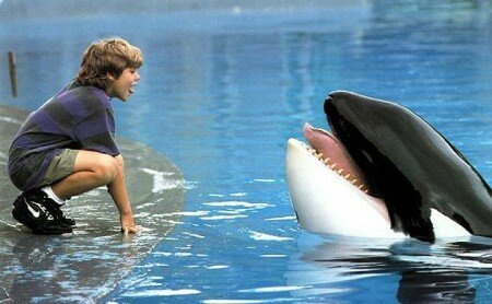 AllstarCinetext_FreeWilly630-1346-450x278